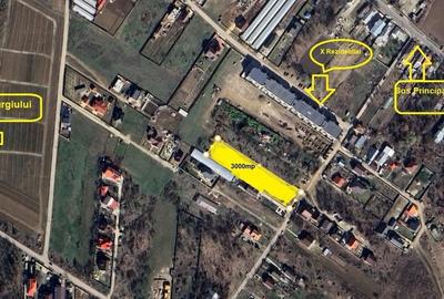 Teren Construcții intravilan de 3000 mp, în Copăceni