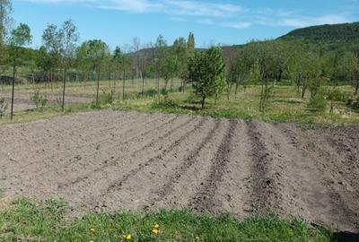 Casă individuală cu 2 camere cu Teren 1900 Mp în Stoiana - 5