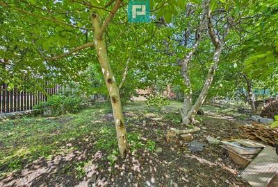 Casa de inchiriat in zona UTA - 10