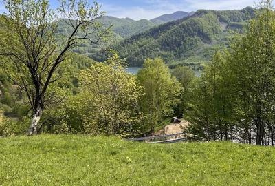 Teren de 1900 mp, în Siriu - 2