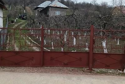 Casă cu Teren 2800 Mp în Boțești - 8