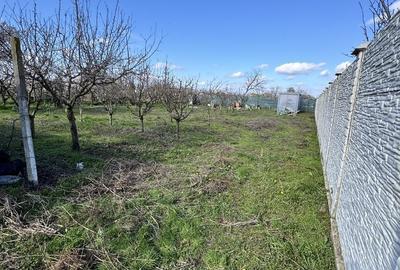 Spațiu comercial, în Lacu Sărat - 5