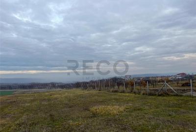 RECO Teren intravilan cu PUZ, la 4 minute de oras ,720 mp,Pa - 3