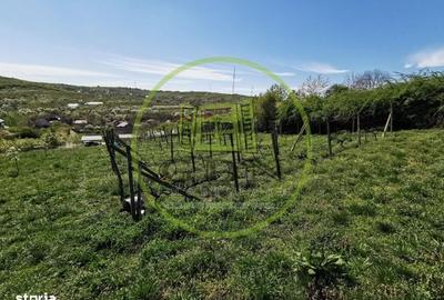 Casă cu 2 camere în Sântandrei - 8