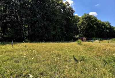 Comision 0 %, teren intravilan Sambata de Sus, ideal cabana weekend - 3