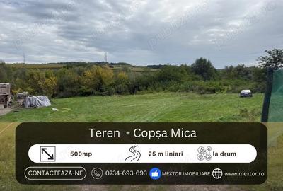 Teren Copsa Mica - 3