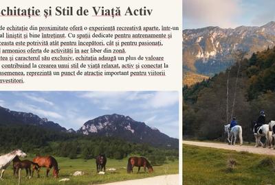 Teren Construcții intravilan de 12000 mp, în Tohanu Vechi - 10