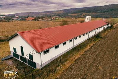 FILM! Ferma de iepuri,Malnas,Covasna: domeniu industrial comercial,asset UE - 19