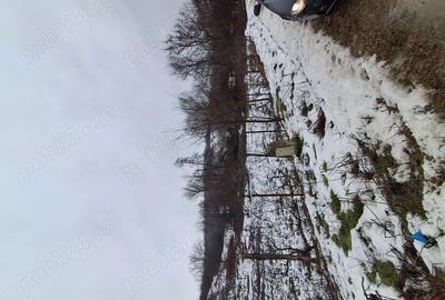 Spațiu comercial, în Petriș - 1