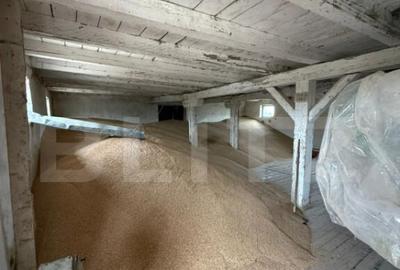 Ferma de Vanzare in judetul Timis, la nord est de Timisoara, - 24