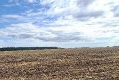 Teren extravilan Branesti, ID: R2649181 - 6