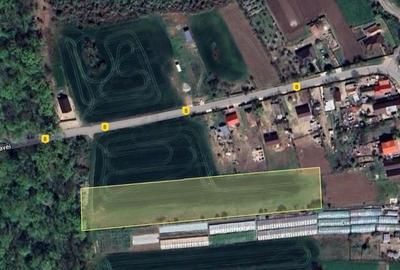 REL4001127 Teren situat langa Padure l Balta Neagra - 5