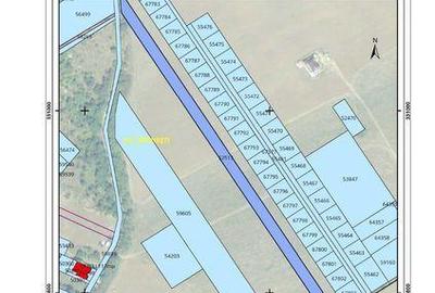 Teren de 5000 mp, în Brănești - 2