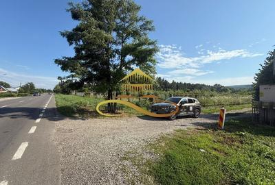 Casa noua de vanzare in Bacau Lilieci - 20