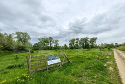 Teren de 6100 mp, în Central