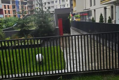 Vand apartament 2 camere, parter, Vivalia(langa Iulius Mall) - 3