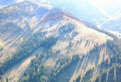 Teren extravilan de 47732 mp, în Panaci - 7