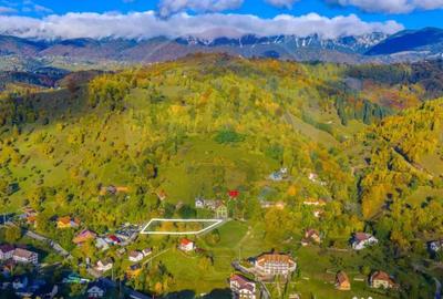 Teren de 1564 mp, în Moieciu - 4