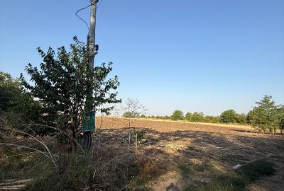 Teren Dn4 Frumusani - 6