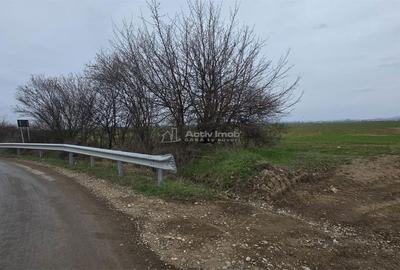 Teren de 7900 mp, în Ulmi - 1