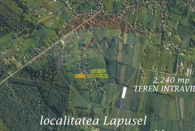 Teren de 2240 mp, în Lăpuș