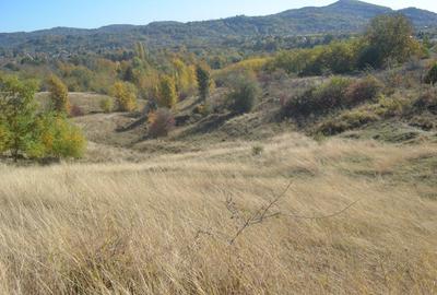 OFERTĂ SPECIALĂ! Teren intravilan de vânzare în Câmpina pe Dealul Muscel - 2