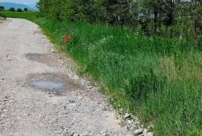 Spațiu comercial, în Hărman - 16