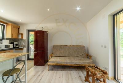 CASA EFICIENTA ENERGETIC - NZEB  in mijlocul naturii -Valea Urusului - 17