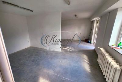 Spatiu comercial pe strada Plevnei Spatiu comercial pe strada Plevnei - 2