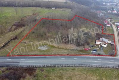 Teren de 10141 mp, în Dedulești - 7