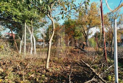 Casă cu 2 camere cu Teren 350 Mp în Fratelia - 6