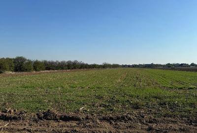 Teren de 20000 mp, în Central