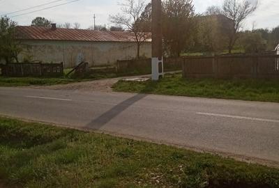 Teren de 700 mp, în Băcălești - 8