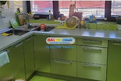 Vanzare vila si teren - Bucuresti - Lacul Morii - adiacent Str Orsova - 5