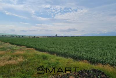 Casa individuala 120mp cu teren 486mp Sura Mica - 6