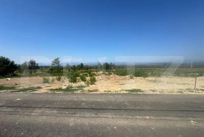 Teren de 1591 mp, în Abator