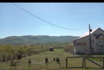 Teren intravilan 2177 mp Sieu Magherus - 7