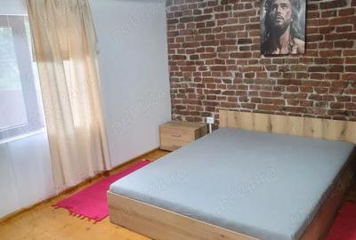 Casă cu 5 camere în Burjuc - 1