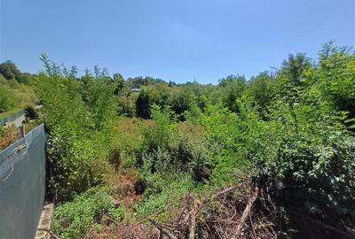 Teren Construcții intravilan de 5615 mp, în Calea Caransebeșului - 12