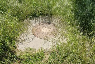 Costinesti / Frontal la mare/Forum /Golful Francez - 7