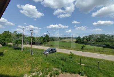 Casa spatioasa la rosu, 2024, 2800 mp teren, zona Andrieseni - 8