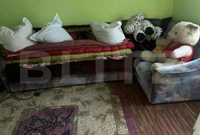 Casă cu 3 camere cu Teren 5100 Mp în Central - 5