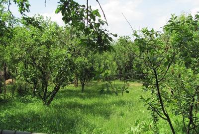 Casă cu 2 camere cu Teren 76.5 Mp în Central - 8