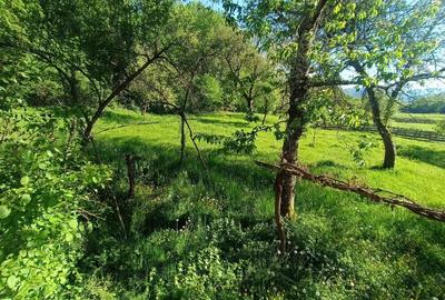 Descopera casu?a ta de vis la poalele Mun?ilor Apuseni - 6