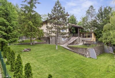 Refugiu de Vis in Cornu – Priveliste Panoramica si Apusuri Memorabile - 69