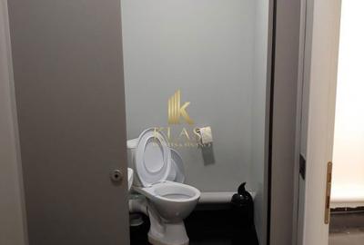 Spațiu comercial, de 300 mp, în Dacia - 15