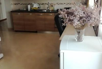 Ocazie, Ap 132m2, 1000 mp2, Hanu Visoianu, utilat,cu balcon, 2 locuri de parcare - 3