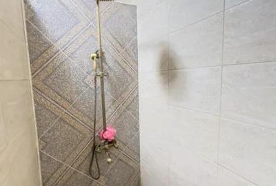 Apartament Compozitori, 101 mp curte in proprietate, garaj Apartament Compozitori, 101 mp curte in proprietate, garaj - 12