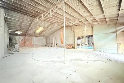 Hala industriala de inchiriat in Cisnadie 1173 mp - 3