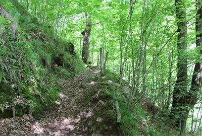 Casă cu 2 camere în Șugag - 1